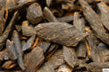 Agarwood Essential oils