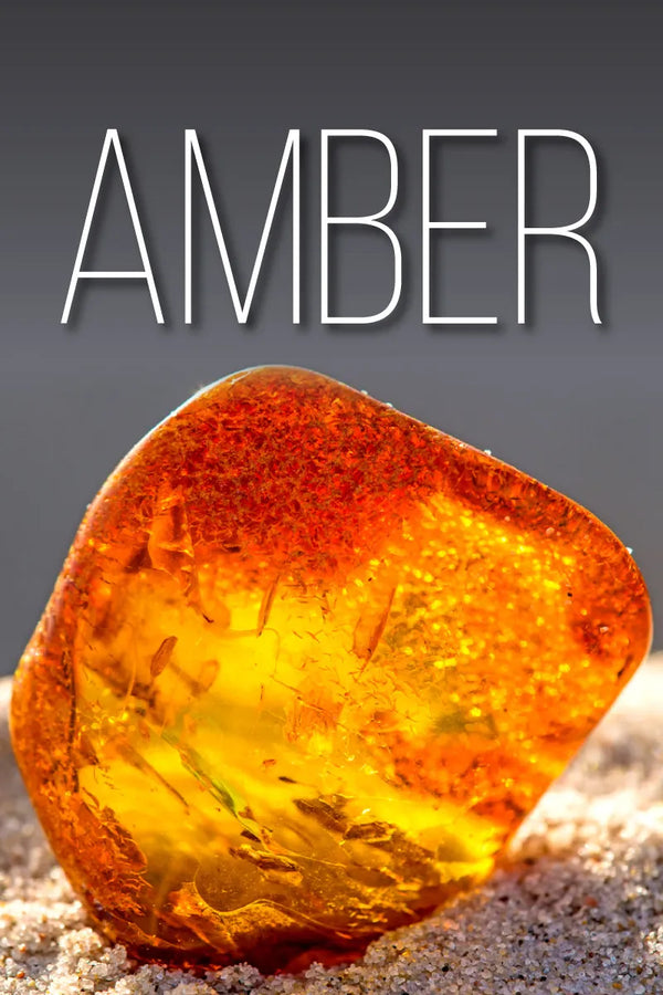 Amber Attar Pack of 12x12ml