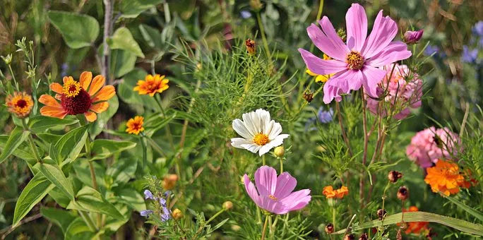 Flora Incense fragrances