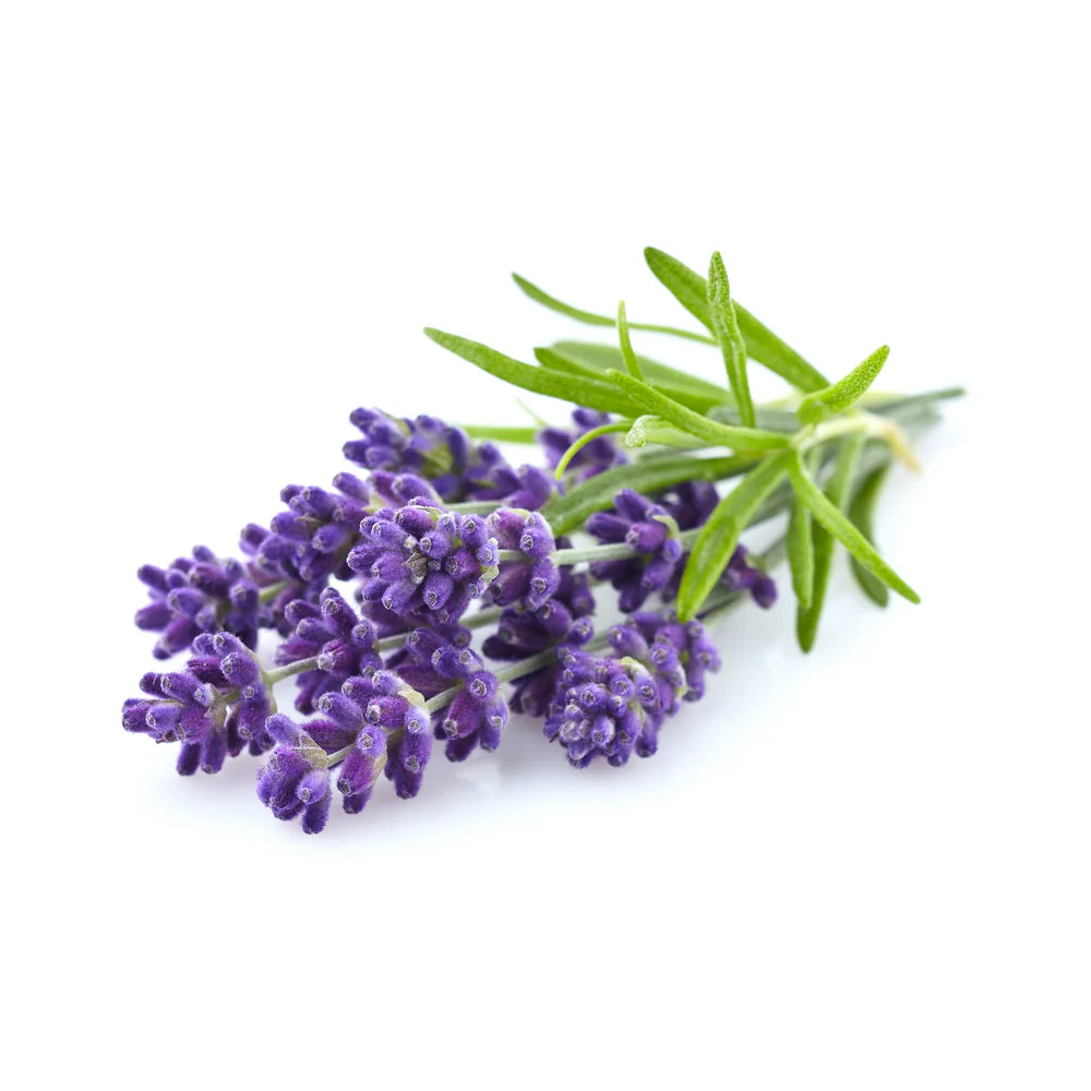 Lavender Floral Water