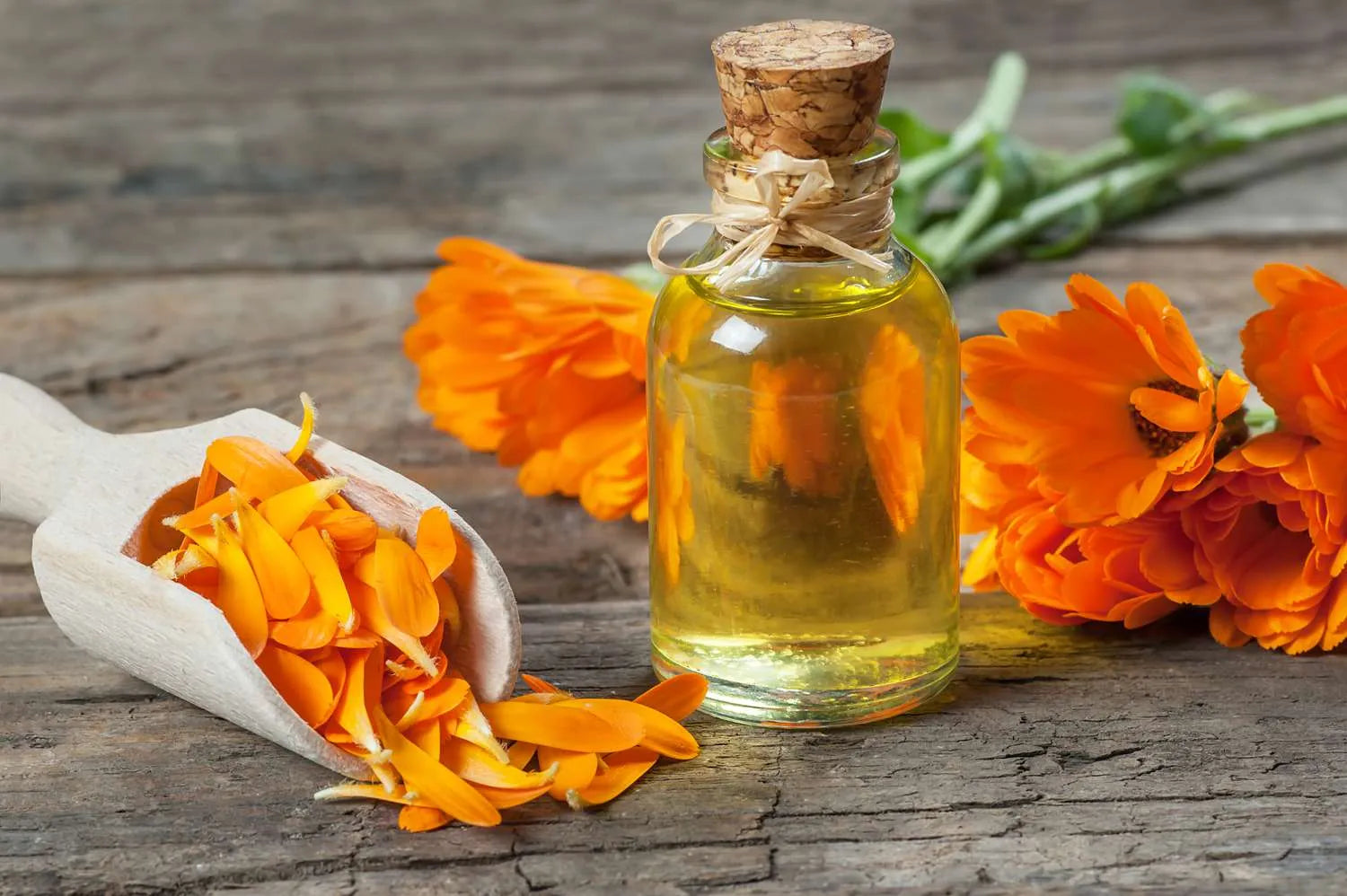 Marigold Essential Oil
