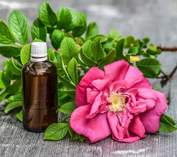 ROSE Attar Pack of 12x12ml