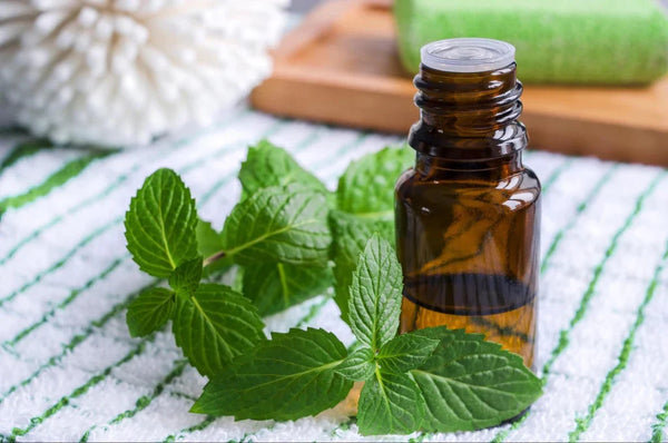 Spearmint Essential Oil