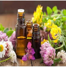 Sugandh Mantri Essential Oil