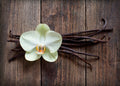 Vanilla Fragrance