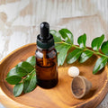 Camphor Essential Oil