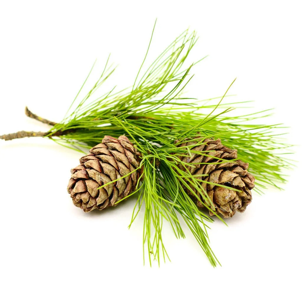 Cedarwood Essential oils