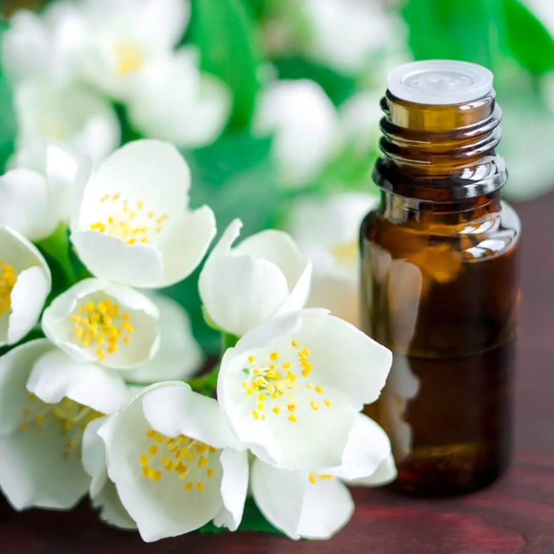 Jasmine Fragrance