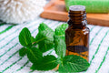Peppermint Essential Oil