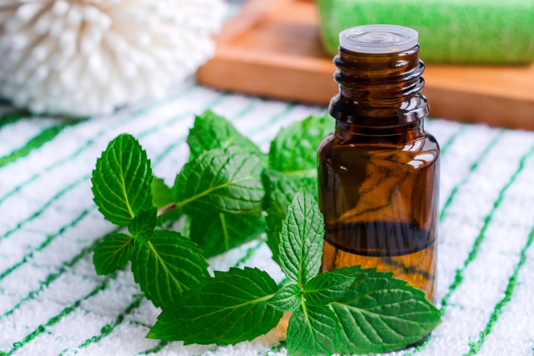 Peppermint Essential Oil