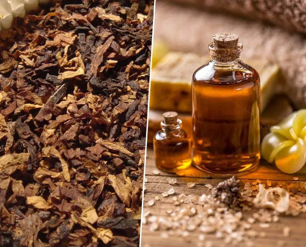 Tobacco Absolute oils